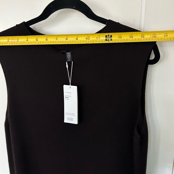 Eileen Fisher brown wool sleeveless dress/jumper. New with tags. Size large. - Picture 5 of 9